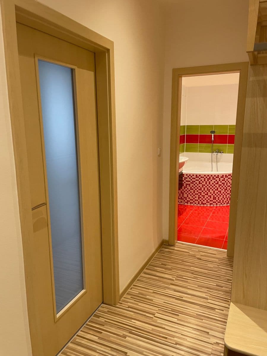 1 bedroom flat to rent, 42 m², Klatovská třída, Plzeň, Plzeňský Region 1 bedroom flat to rent, 42 m², Klatovská třída, Plzeň, Plzeňský Region