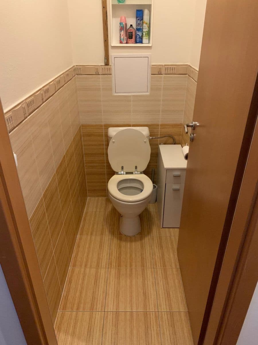 1 bedroom with open-plan kitchen flat to rent, 74 m², Marty Krásové, Prague, Prague 1 bedroom with open-plan kitchen flat to rent, 74 m², Marty Krásové, Prague, Prague