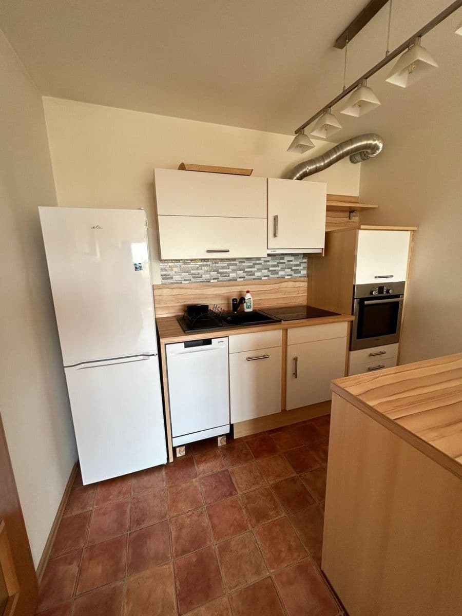 1 bedroom with open-plan kitchen flat to rent, 74 m², Marty Krásové, Prague, Prague 1 bedroom with open-plan kitchen flat to rent, 74 m², Marty Krásové, Prague, Prague