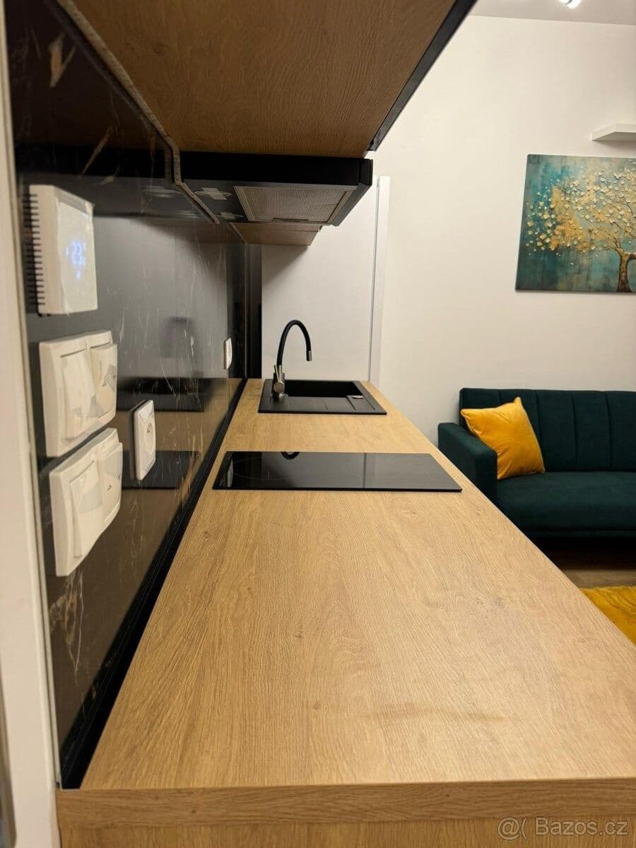 Studio flat to rent, 40 m², Olgy Havlové, Prague, Prague Studio flat to rent, 40 m², Olgy Havlové, Prague, Prague