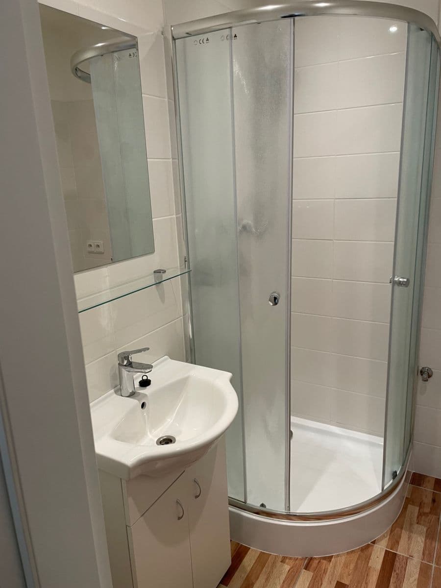 1 bedroom with open-plan kitchen flat to rent, 46 m², Žukovského, Prague, Prague 1 bedroom with open-plan kitchen flat to rent, 46 m², Žukovského, Prague, Prague