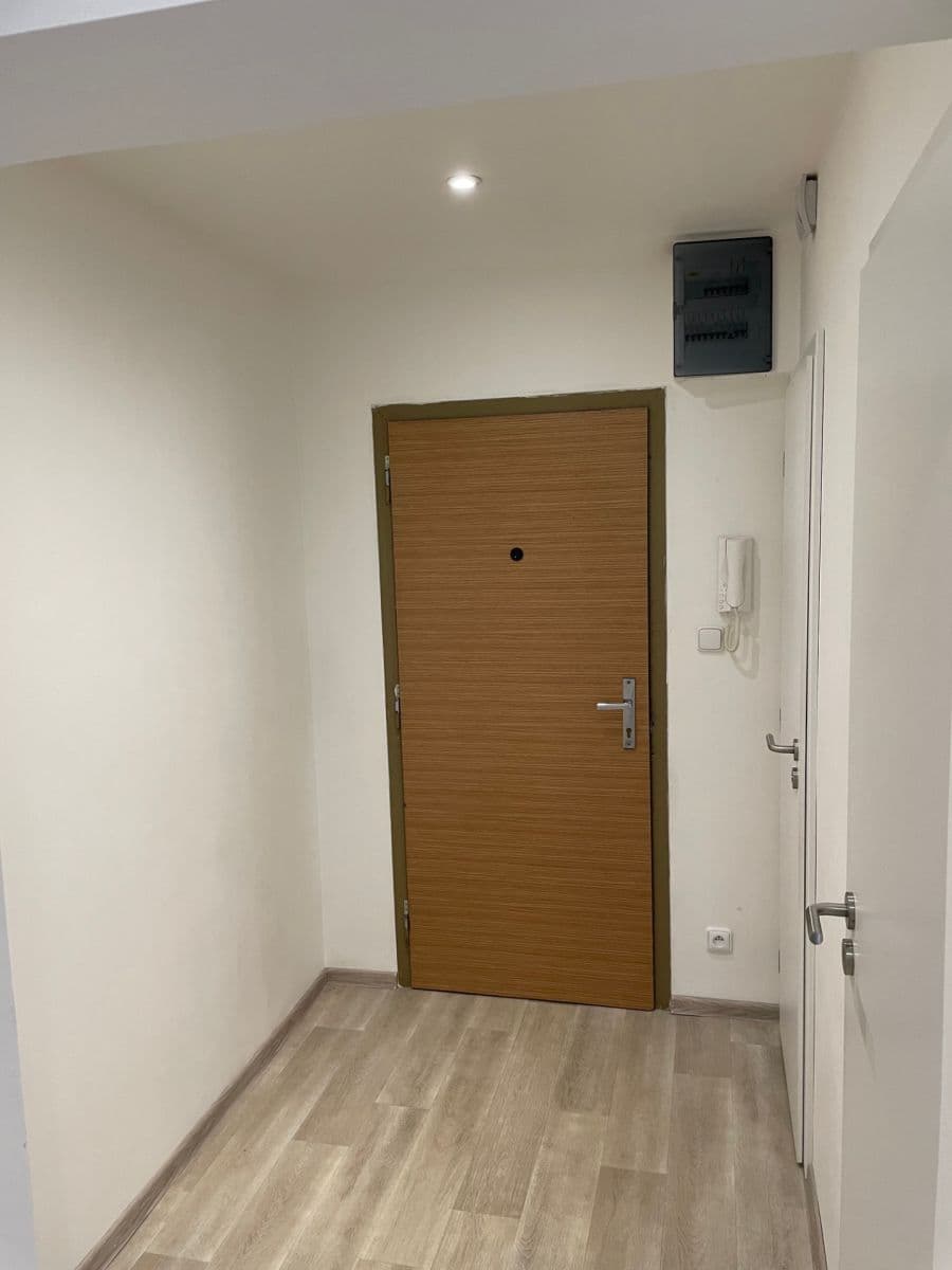 1 bedroom with open-plan kitchen flat to rent, 46 m², Žukovského, Prague, Prague 1 bedroom with open-plan kitchen flat to rent, 46 m², Žukovského, Prague, Prague