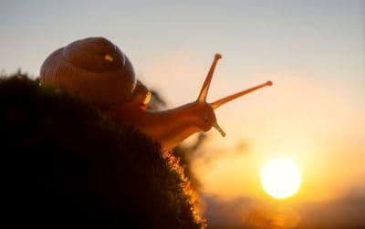 6 bedroom flat to rent, 123 m², Gustav-Bruhn-Straße 8, Angermünde, Brandenburg 6 bedroom flat to rent, 123 m², Gustav-Bruhn-Straße 8, Angermünde, Brandenburg