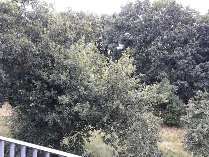 3 bedroom flat to rent, 80 m², Schlierbachstraße 17, Hetzles, Bavaria 3 bedroom flat to rent, 80 m², Schlierbachstraße 17, Hetzles, Bavaria