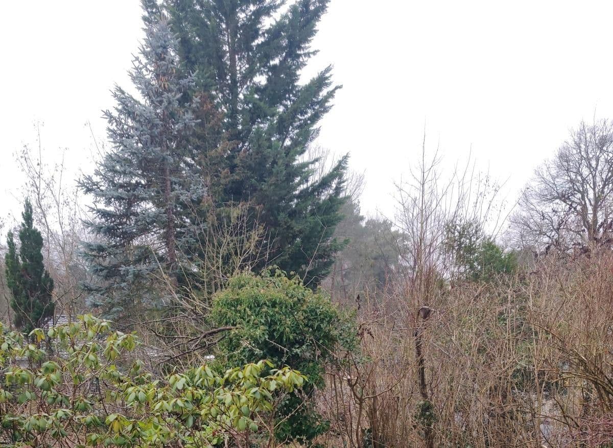 house for sale, 180 m², Wildbahn 48, Berlin, Berlin house for sale, 180 m², Wildbahn 48, Berlin, Berlin