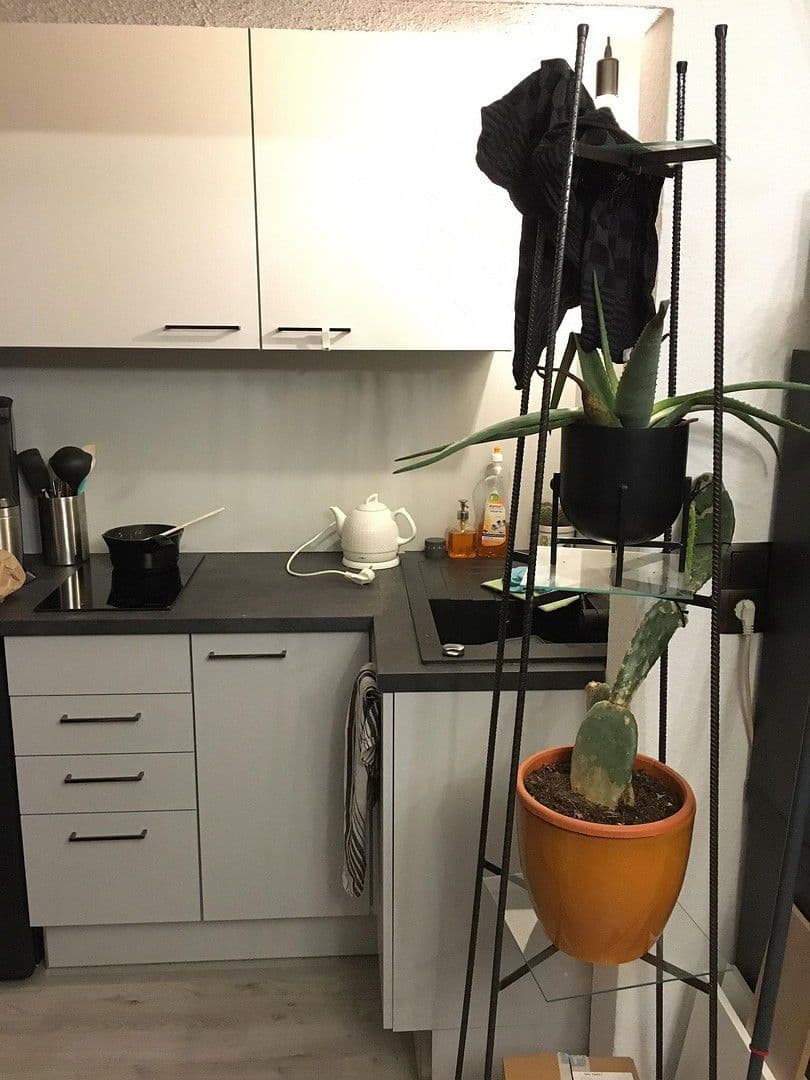 1 bedroom flat to rent, 28 m², Mühlenweg 1, Braunschweig, Lower Saxony 1 bedroom flat to rent, 28 m², Mühlenweg 1, Braunschweig, Lower Saxony