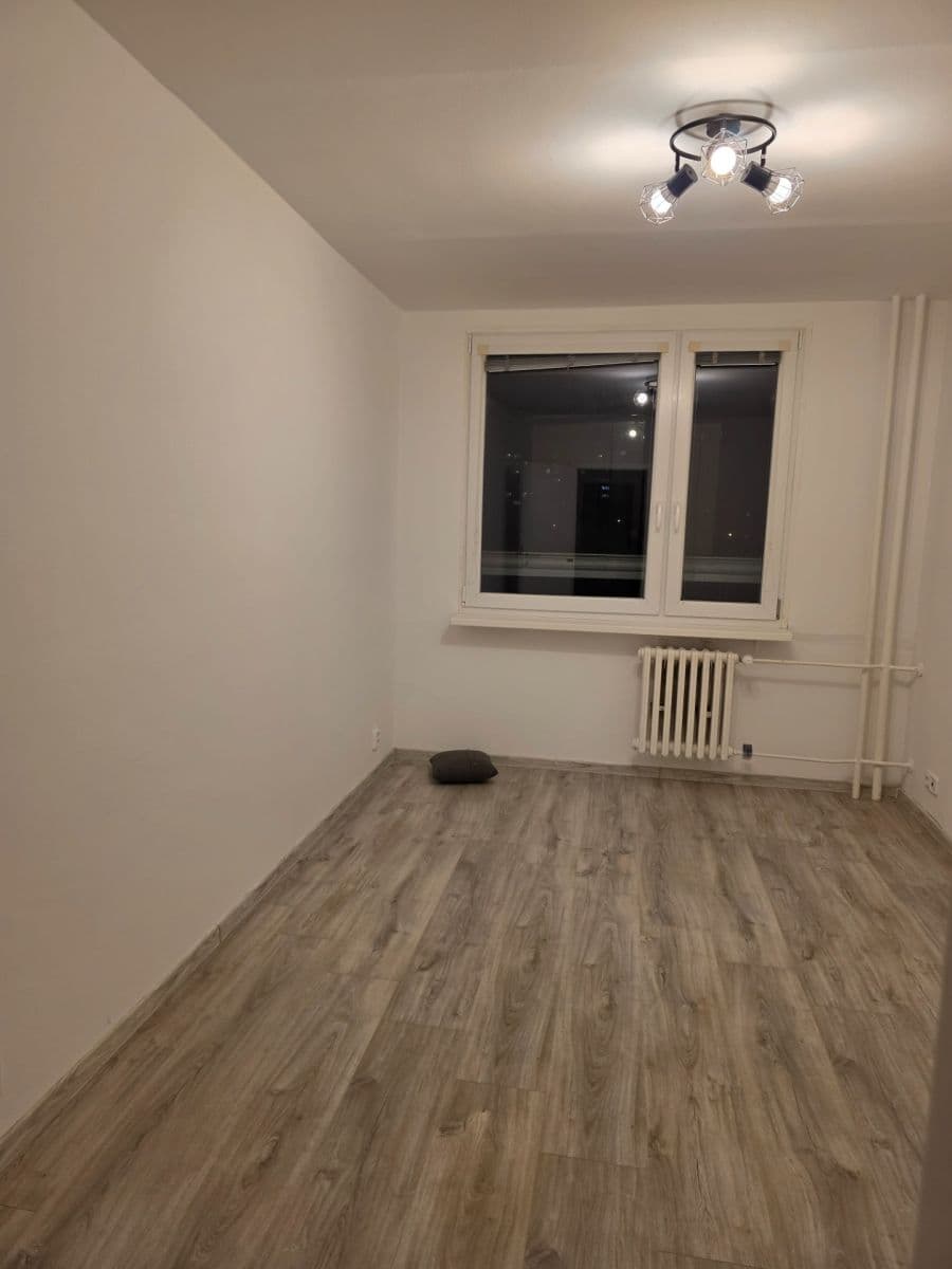 1 bedroom with open-plan kitchen flat to rent, 48 m², Plickova, Prague, Prague 1 bedroom with open-plan kitchen flat to rent, 48 m², Plickova, Prague, Prague