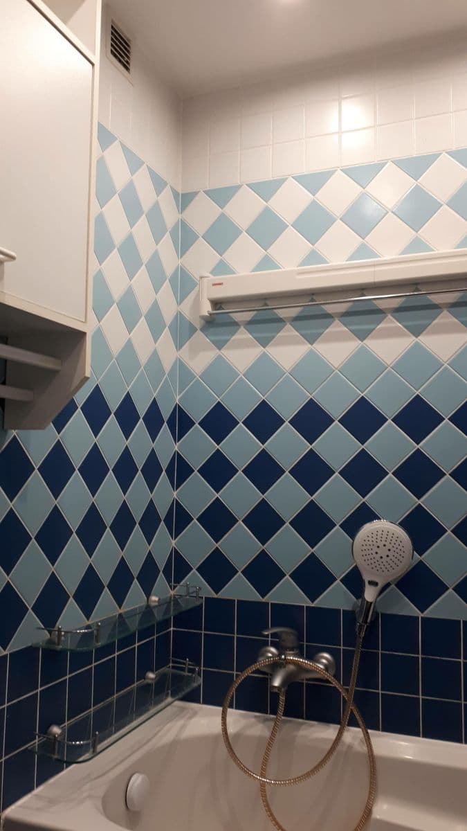 2 bedroom flat to rent, 55 m², Nad Alejí, Prague, Prague 2 bedroom flat to rent, 55 m², Nad Alejí, Prague, Prague