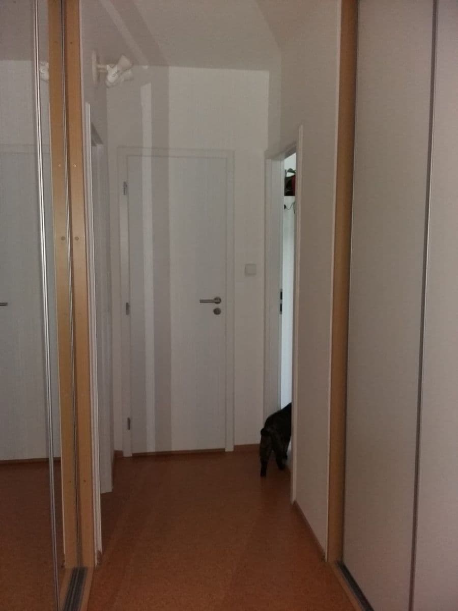 2 bedroom with open-plan kitchen flat for sale, 68 m², Jílovská, Prague, Prague 2 bedroom with open-plan kitchen flat for sale, 68 m², Jílovská, Prague, Prague