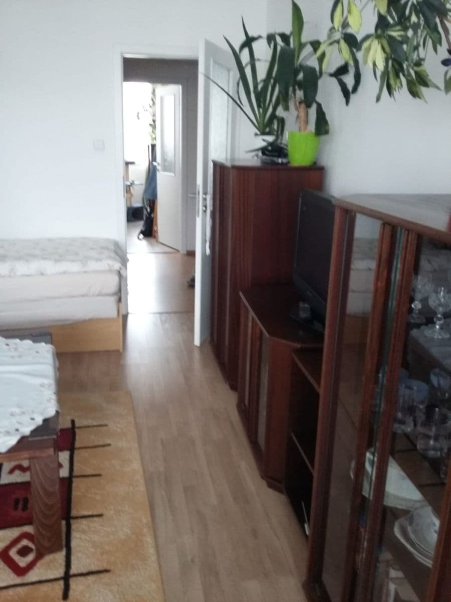 2 bedroom with open-plan kitchen flat for sale, 68 m², Jílovská, Prague, Prague 2 bedroom with open-plan kitchen flat for sale, 68 m², Jílovská, Prague, Prague