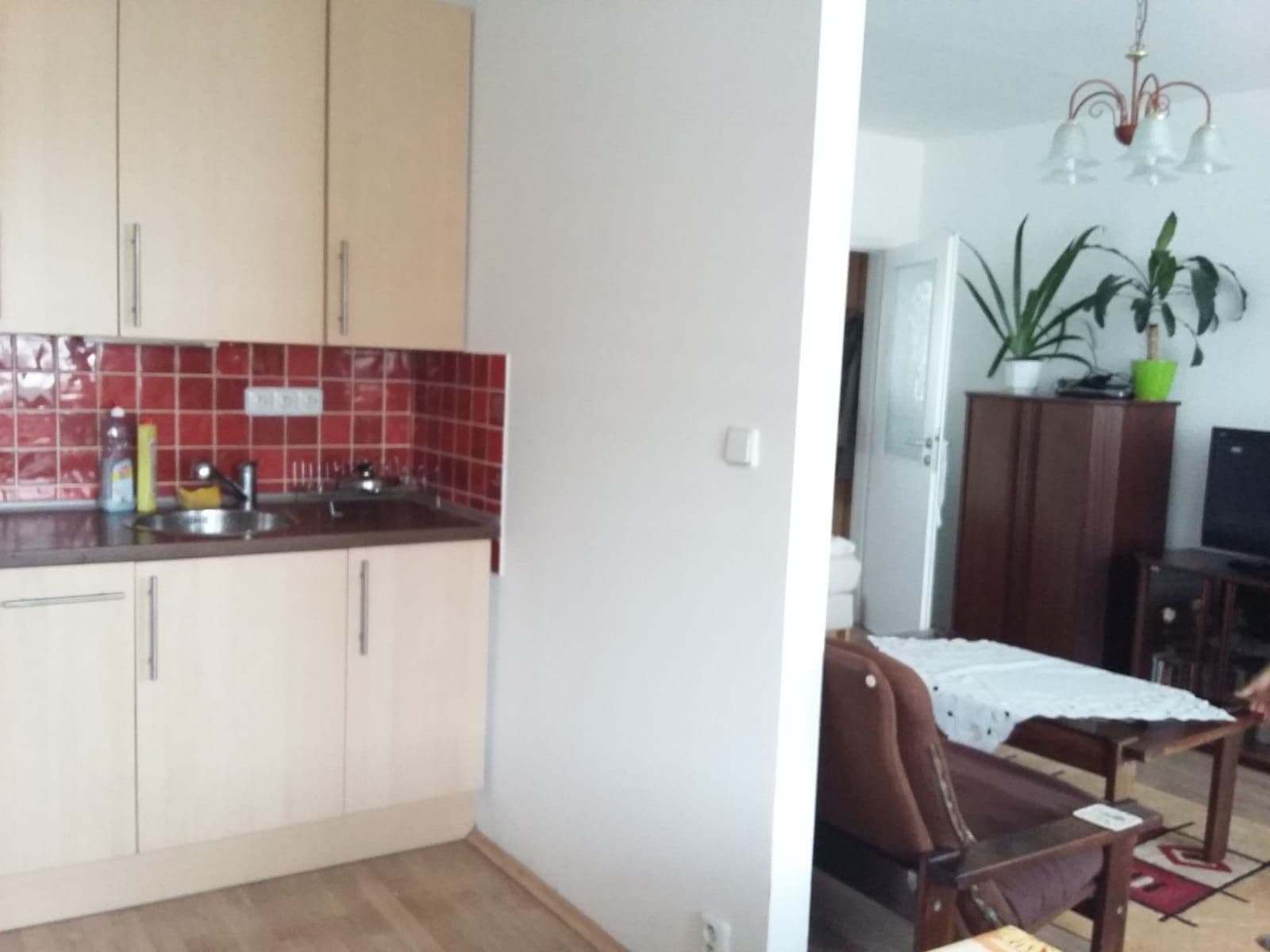 2 bedroom with open-plan kitchen flat for sale, 68 m², Jílovská, Prague, Prague 2 bedroom with open-plan kitchen flat for sale, 68 m², Jílovská, Prague, Prague