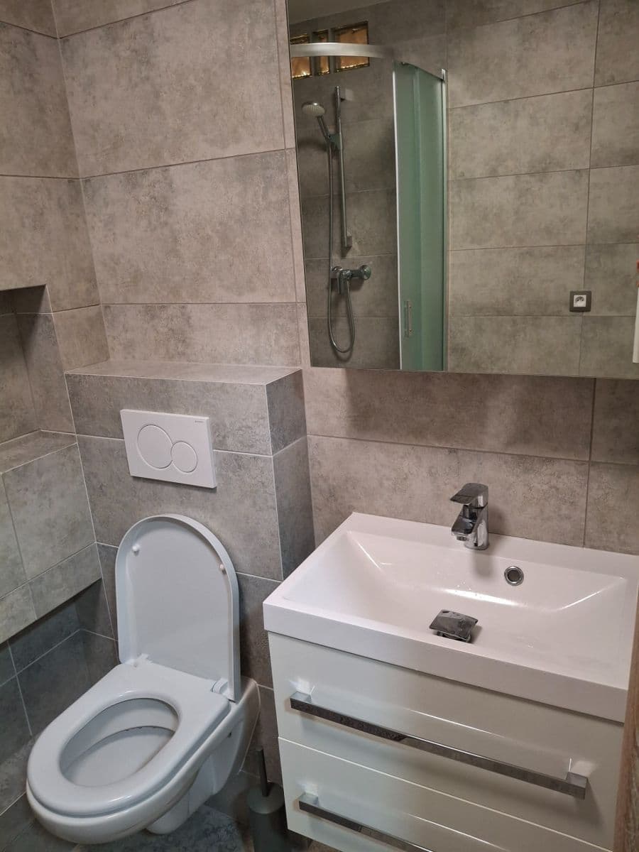 1 bedroom with open-plan kitchen flat to rent, 41 m², V Zápolí, Prague, Prague 1 bedroom with open-plan kitchen flat to rent, 41 m², V Zápolí, Prague, Prague