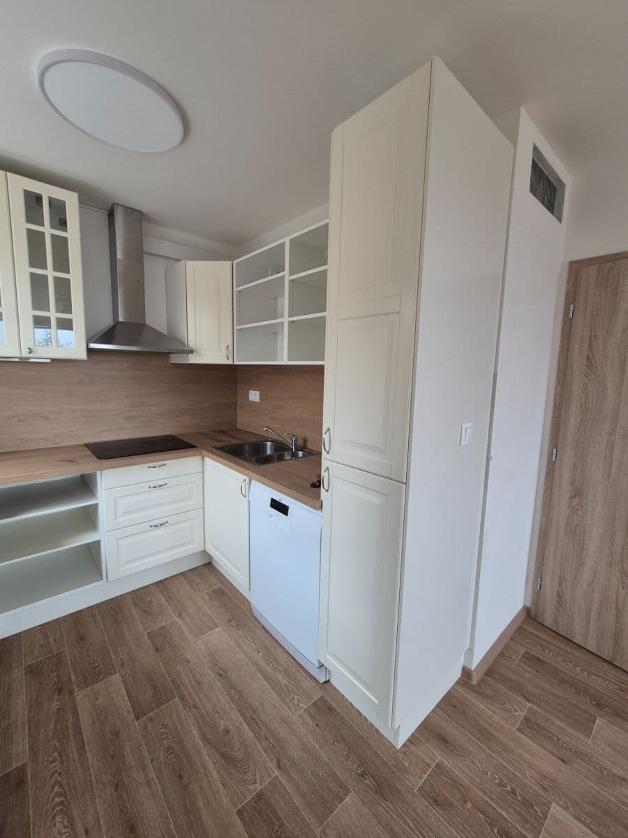 1 bedroom with open-plan kitchen flat to rent, 41 m², V Zápolí, Prague, Prague 1 bedroom with open-plan kitchen flat to rent, 41 m², V Zápolí, Prague, Prague