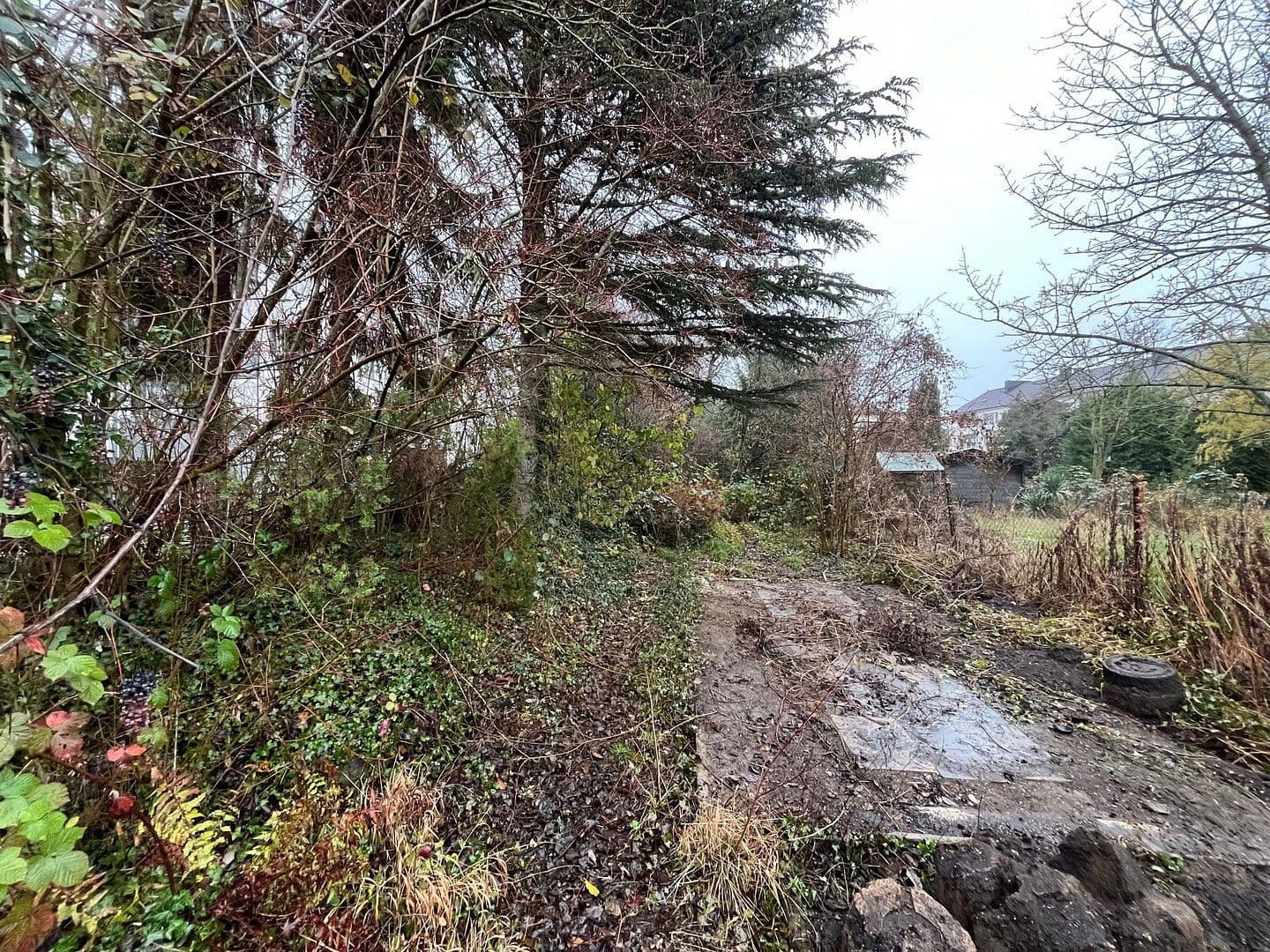 house for sale, 85 m², Langenackerstraße 78, Brühl, North Rhine-Westphalia house for sale, 85 m², Langenackerstraße 78, Brühl, North Rhine-Westphalia