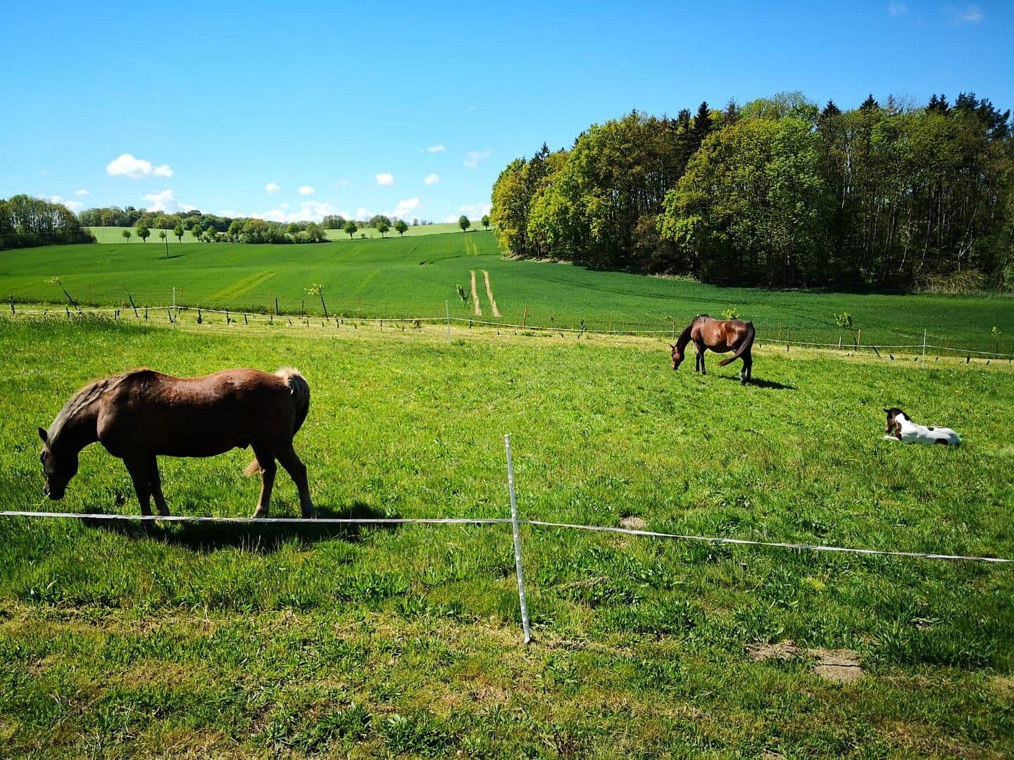 plot for sale, 2,000 m², Alter Kastanienweg 8, Satow, Mecklenburg-Vorpommern plot for sale, 2,000 m², Alter Kastanienweg 8, Satow, Mecklenburg-Vorpommern
