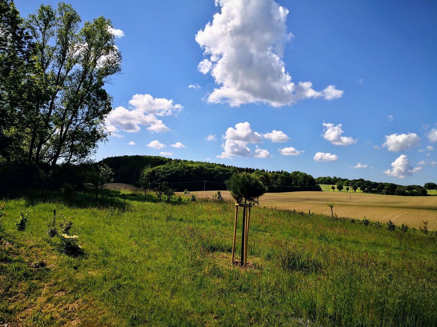 plot for sale, 2,000 m², Alter Kastanienweg 8, Satow, Mecklenburg-Vorpommern plot for sale, 2,000 m², Alter Kastanienweg 8, Satow, Mecklenburg-Vorpommern