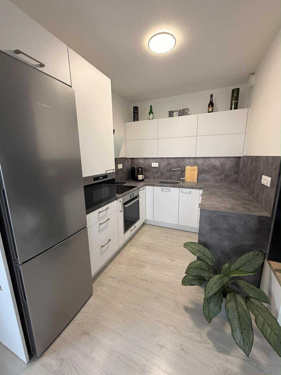 2 bedroom with open-plan kitchen flat for sale, 88 m², Miroslava Hajna, Prague, Prague 2 bedroom with open-plan kitchen flat for sale, 88 m², Miroslava Hajna, Prague, Prague