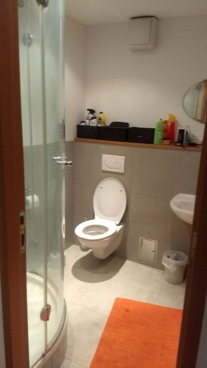 4 bedroom with open-plan kitchen flat to rent, 19 m², Řehořova, Prague, Prague 4 bedroom with open-plan kitchen flat to rent, 19 m², Řehořova, Prague, Prague