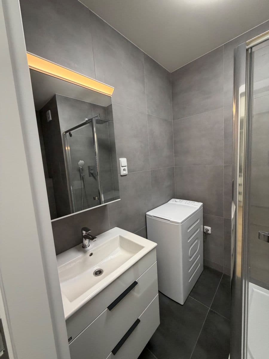 1 bedroom with open-plan kitchen flat to rent, 47 m², Běloruská, Brno, Jihomoravský Region 1 bedroom with open-plan kitchen flat to rent, 47 m², Běloruská, Brno, Jihomoravský Region