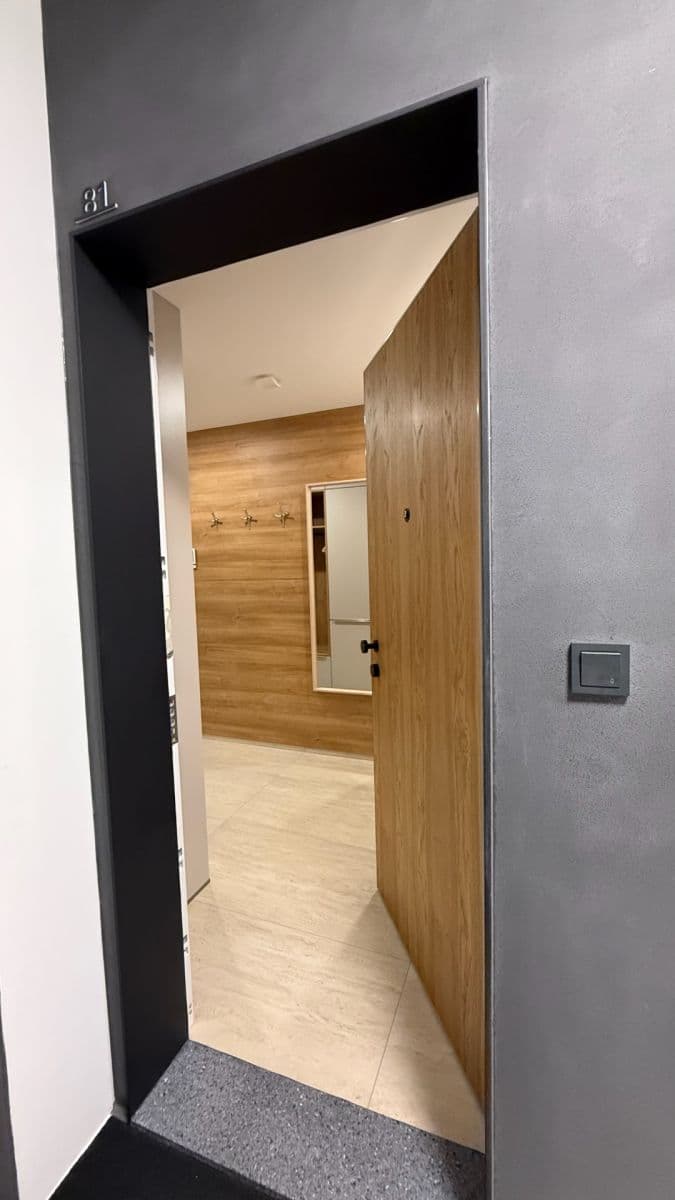 1 bedroom with open-plan kitchen flat to rent, 58 m², Vítězné náměstí, Prague, Prague 1 bedroom with open-plan kitchen flat to rent, 58 m², Vítězné náměstí, Prague, Prague