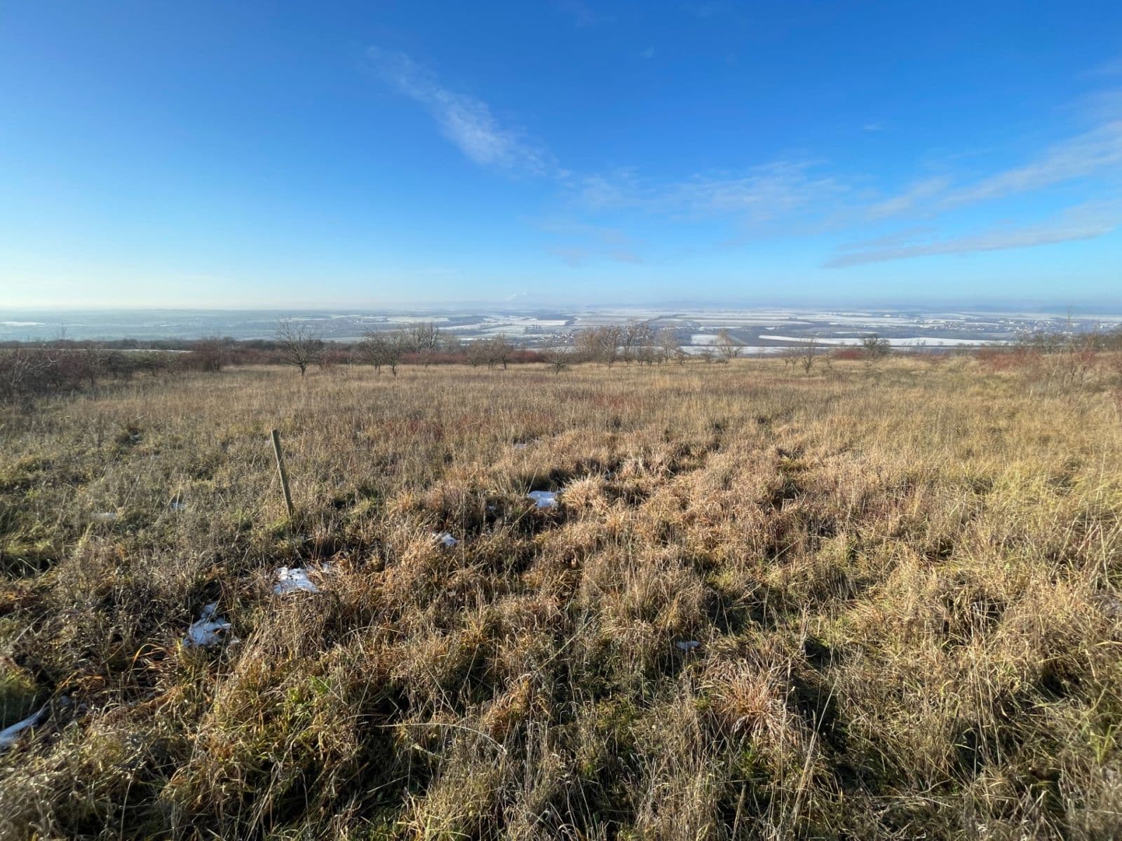 plot for sale, 7,721 m², Židlochovice, Jihomoravský Region plot for sale, 7,721 m², Židlochovice, Jihomoravský Region