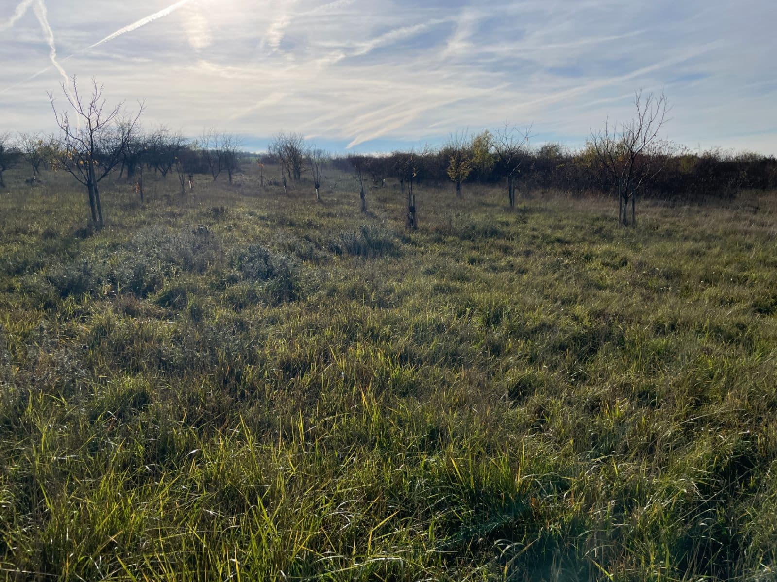 plot for sale, 7,721 m², Židlochovice, Jihomoravský Region plot for sale, 7,721 m², Židlochovice, Jihomoravský Region