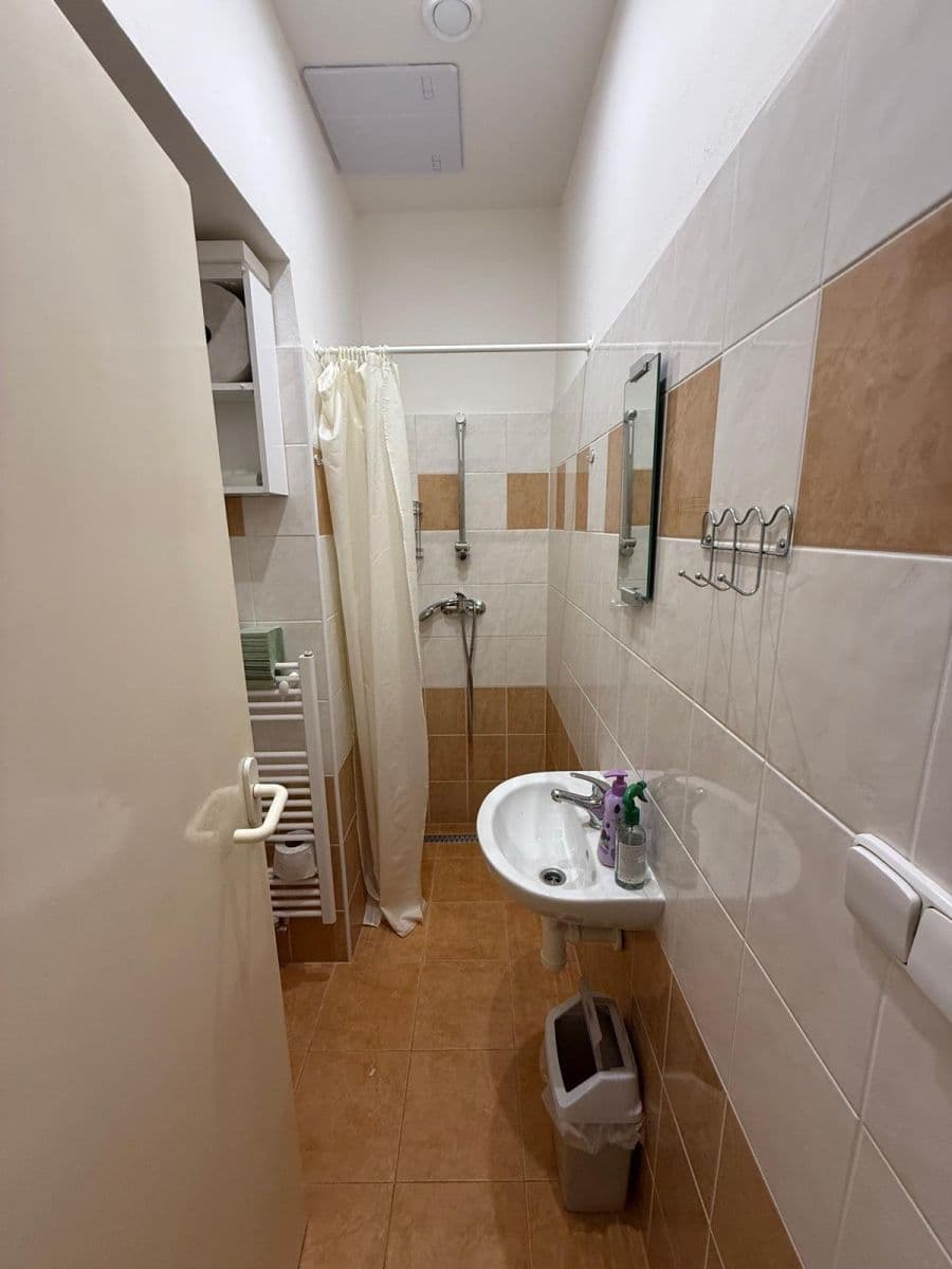 flat to rent, 300 m², Lublaňská, Prague, Prague flat to rent, 300 m², Lublaňská, Prague, Prague