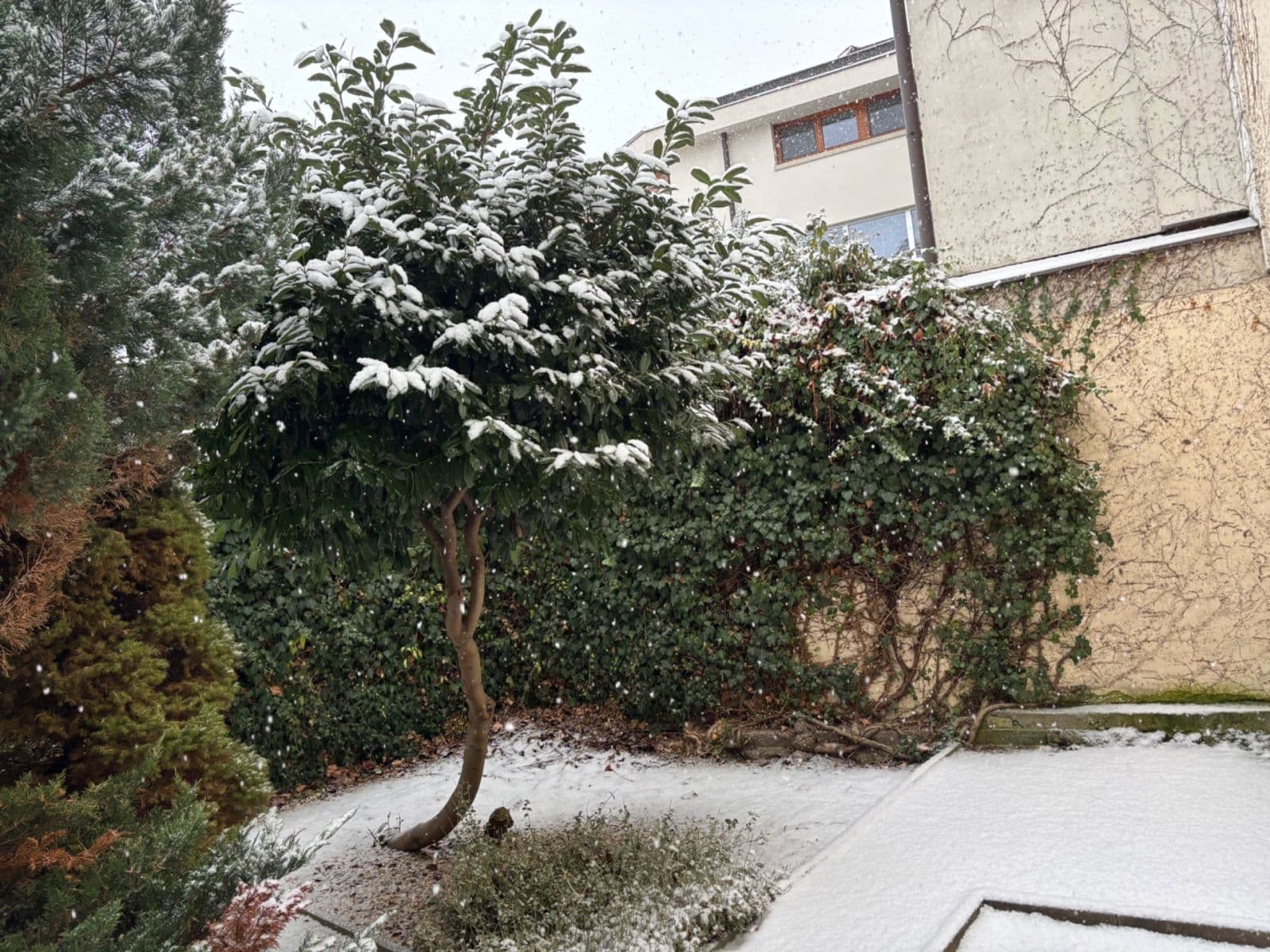 1 bedroom with open-plan kitchen flat for sale, 50 m², Vocelova, Kutná Hora, Středočeský Region 1 bedroom with open-plan kitchen flat for sale, 50 m², Vocelova, Kutná Hora, Středočeský Region