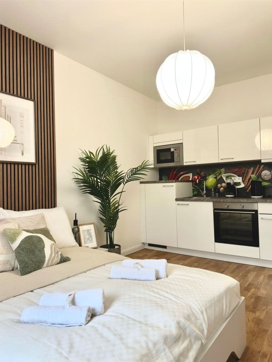 flat to rent, 30 m², Washingtonova, Prague, Prague flat to rent, 30 m², Washingtonova, Prague, Prague