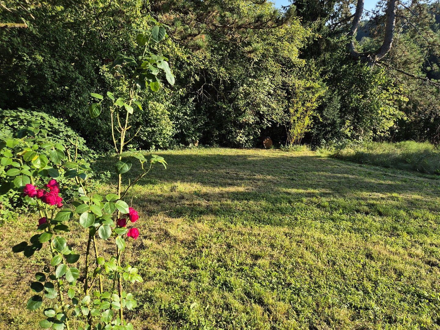 4 bedroom flat to rent, 120 m², Weinstadt, Baden-Württemberg 4 bedroom flat to rent, 120 m², Weinstadt, Baden-Württemberg