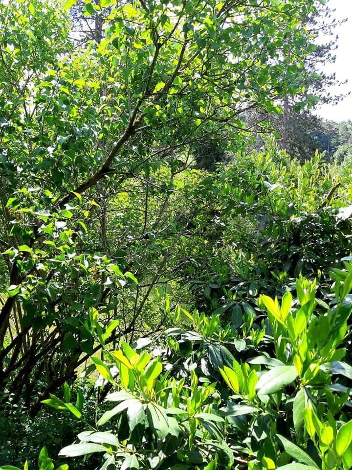 4 bedroom flat to rent, 120 m², Weinstadt, Baden-Württemberg 4 bedroom flat to rent, 120 m², Weinstadt, Baden-Württemberg