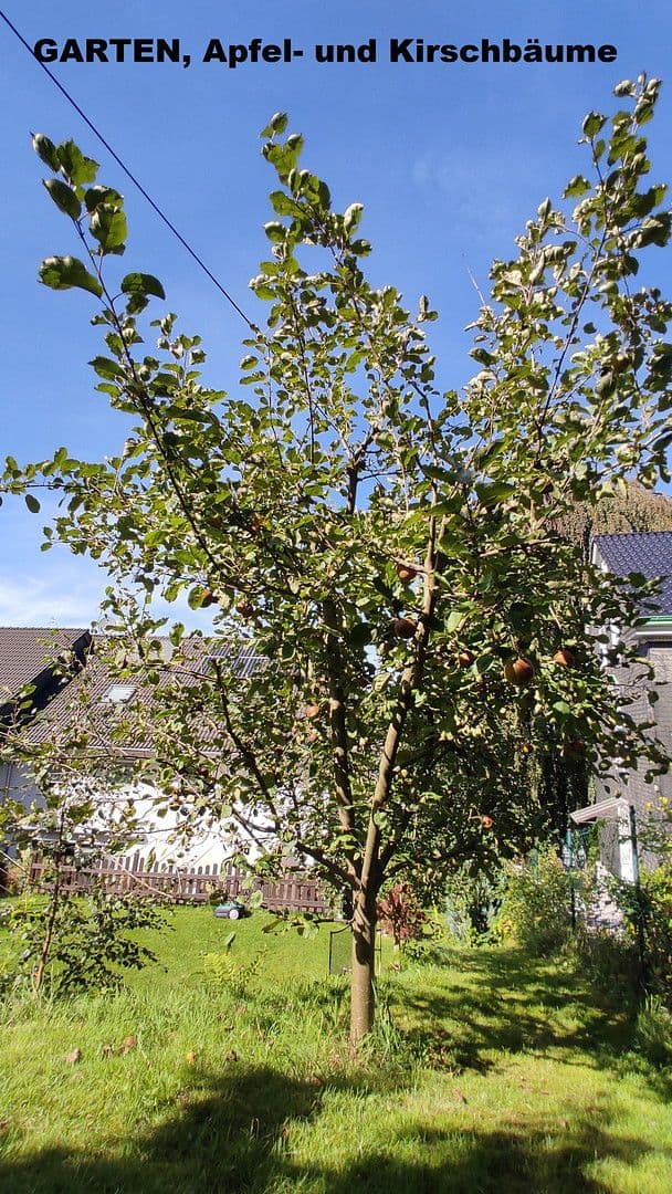 house for sale, 157 m², Remscheid, Nordrhein-Westfalen, North Rhine-Westphalia house for sale, 157 m², Remscheid, Nordrhein-Westfalen, North Rhine-Westphalia