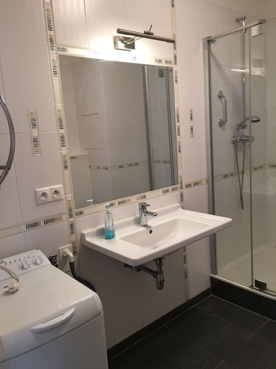 1 bedroom with open-plan kitchen flat to rent, 58 m², U Lipové aleje, Prague, Prague 1 bedroom with open-plan kitchen flat to rent, 58 m², U Lipové aleje, Prague, Prague