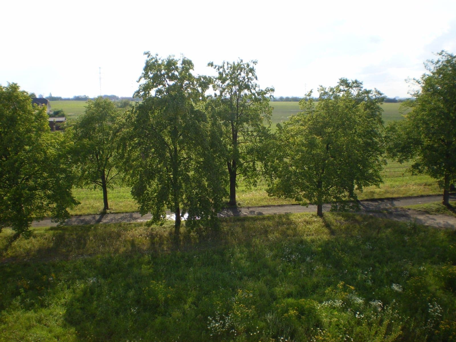 1 bedroom with open-plan kitchen flat to rent, 58 m², U Lipové aleje, Prague, Prague 1 bedroom with open-plan kitchen flat to rent, 58 m², U Lipové aleje, Prague, Prague