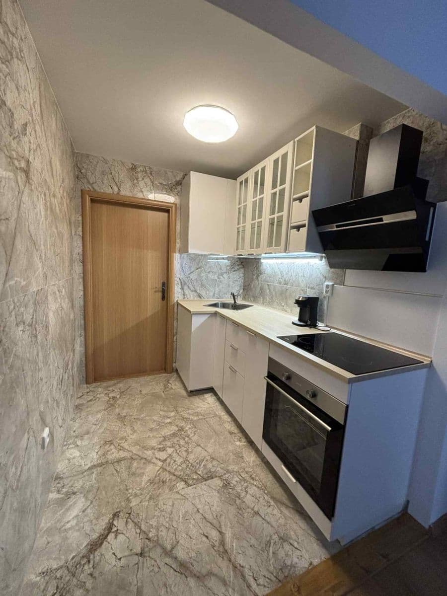 2 bedroom with open-plan kitchen flat for sale, 55 m², Běhounkova, Prague, Prague 2 bedroom with open-plan kitchen flat for sale, 55 m², Běhounkova, Prague, Prague