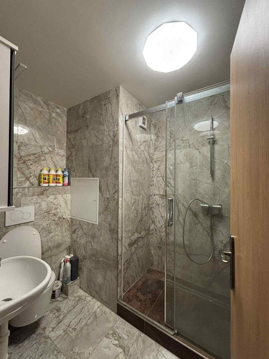 2 bedroom with open-plan kitchen flat for sale, 55 m², Běhounkova, Prague, Prague 2 bedroom with open-plan kitchen flat for sale, 55 m², Běhounkova, Prague, Prague