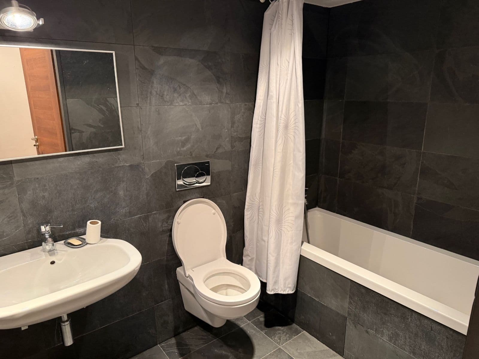 1 bedroom with open-plan kitchen flat to rent, 60 m², Žerotínova, Prague, Prague 1 bedroom with open-plan kitchen flat to rent, 60 m², Žerotínova, Prague, Prague