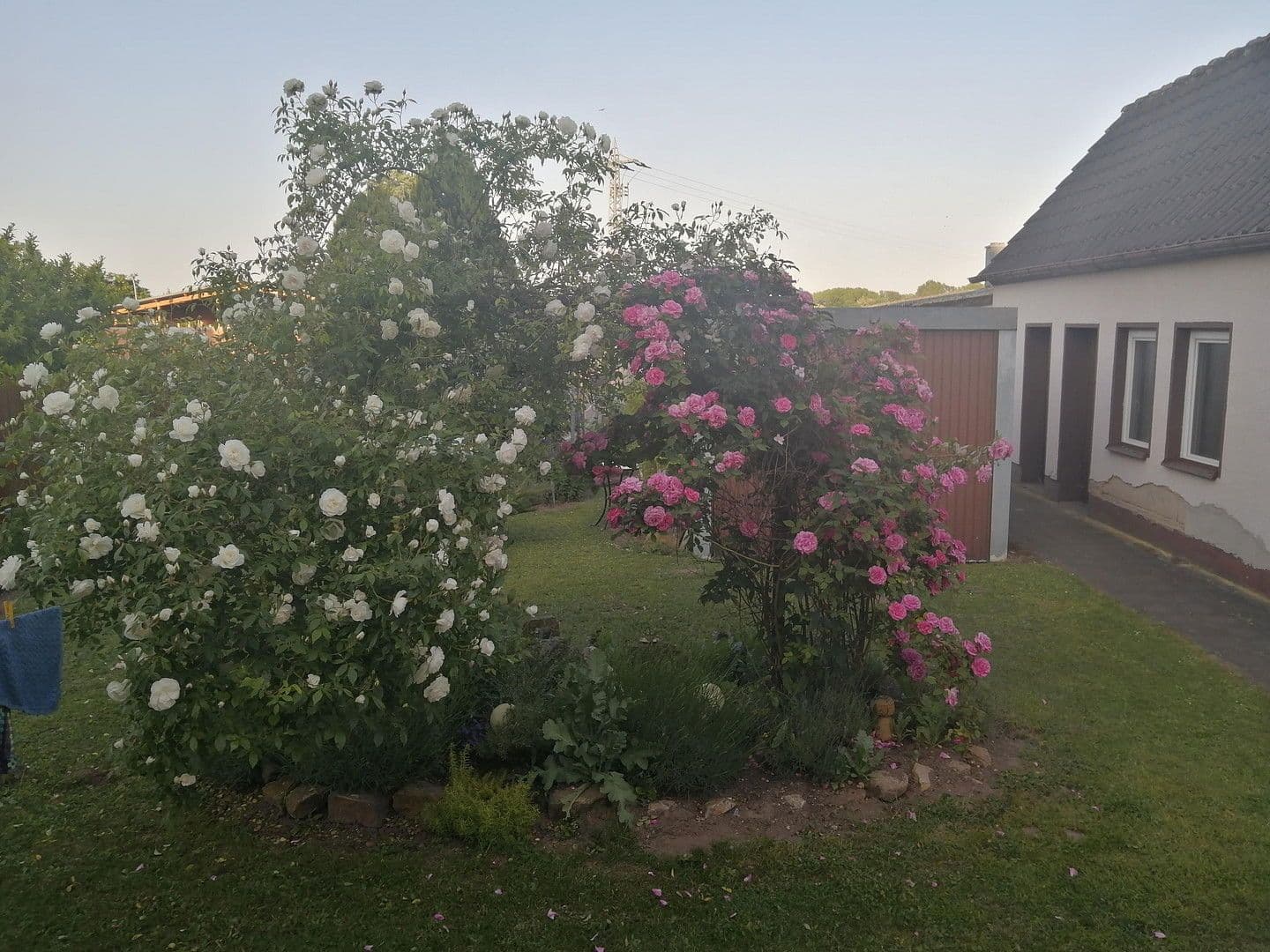 house for sale, 150 m², Knittelsheim, Rhineland-Palatinate house for sale, 150 m², Knittelsheim, Rhineland-Palatinate