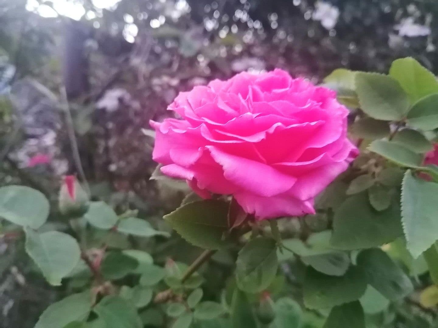 house for sale, 150 m², Knittelsheim, Rhineland-Palatinate house for sale, 150 m², Knittelsheim, Rhineland-Palatinate