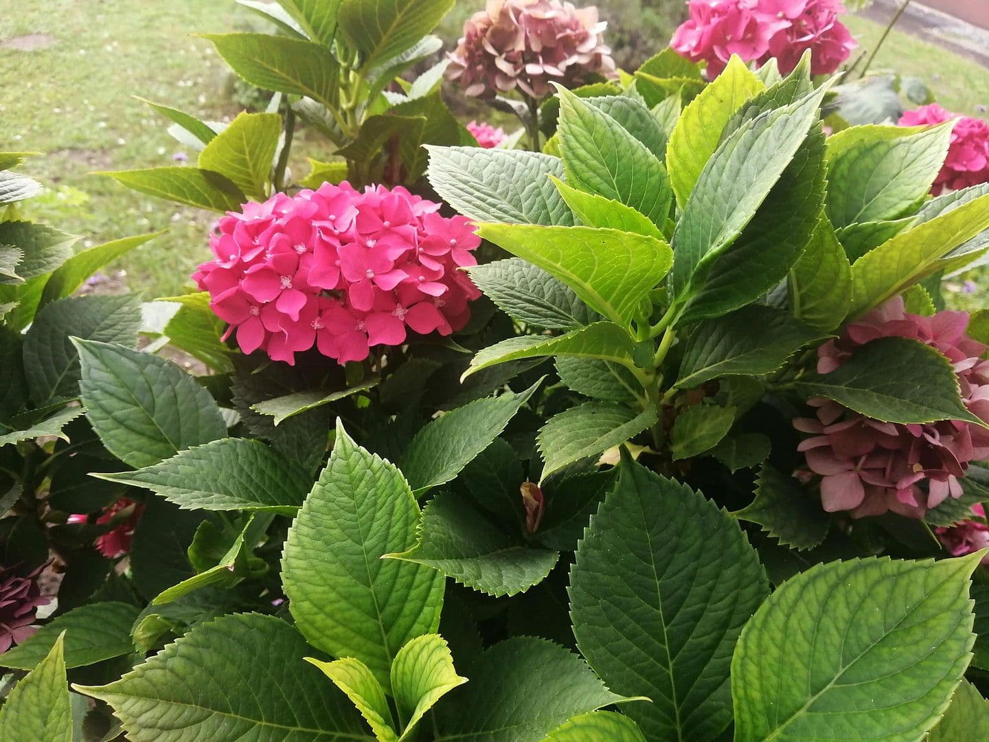 house for sale, 150 m², Knittelsheim, Rhineland-Palatinate house for sale, 150 m², Knittelsheim, Rhineland-Palatinate