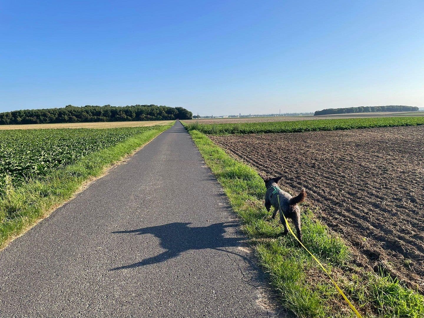 house for sale, 187 m², Niederkassel, North Rhine-Westphalia house for sale, 187 m², Niederkassel, North Rhine-Westphalia