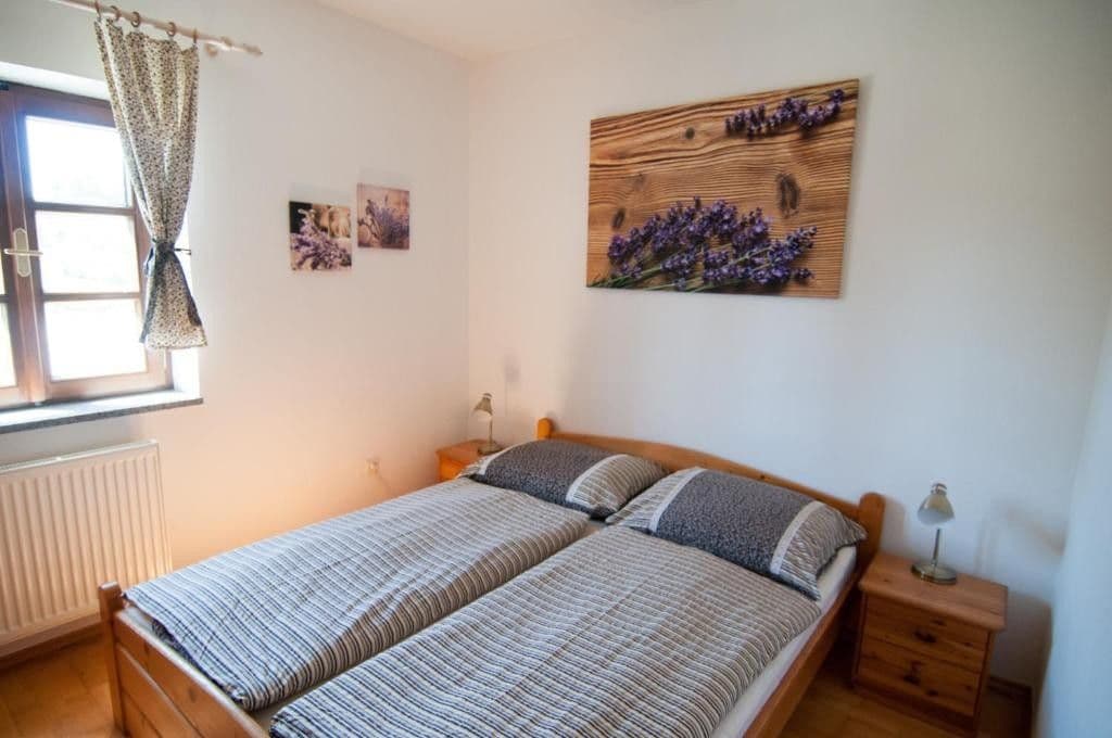 1 bedroom with open-plan kitchen flat to rent, 40 m², Palackého, Horní Planá, Jihočeský Region 1 bedroom with open-plan kitchen flat to rent, 40 m², Palackého, Horní Planá, Jihočeský Region