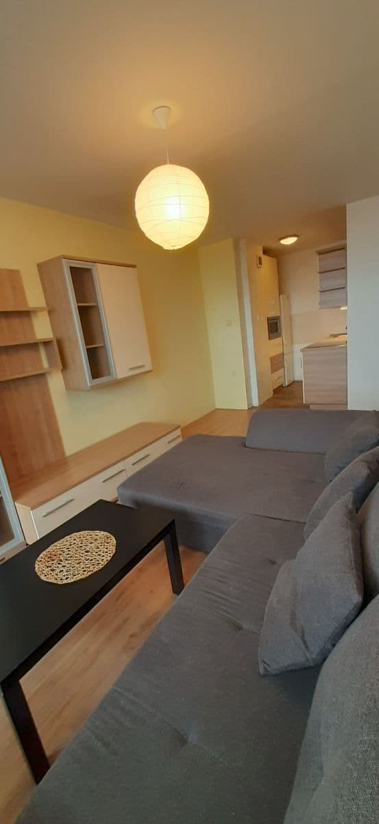 1 bedroom with open-plan kitchen flat to rent, 48 m², Mendelova, Prague, Prague 1 bedroom with open-plan kitchen flat to rent, 48 m², Mendelova, Prague, Prague