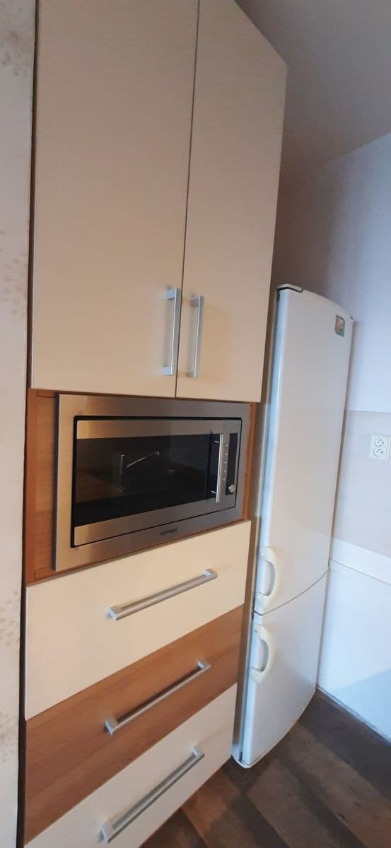1 bedroom with open-plan kitchen flat to rent, 48 m², Mendelova, Prague, Prague 1 bedroom with open-plan kitchen flat to rent, 48 m², Mendelova, Prague, Prague