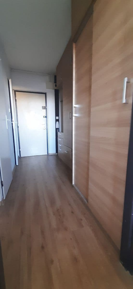 1 bedroom with open-plan kitchen flat to rent, 48 m², Mendelova, Prague, Prague 1 bedroom with open-plan kitchen flat to rent, 48 m², Mendelova, Prague, Prague
