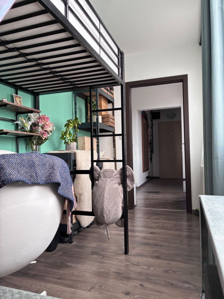 2 bedroom with open-plan kitchen flat for sale, 67 m², Psárská, Prague, Prague 2 bedroom with open-plan kitchen flat for sale, 67 m², Psárská, Prague, Prague