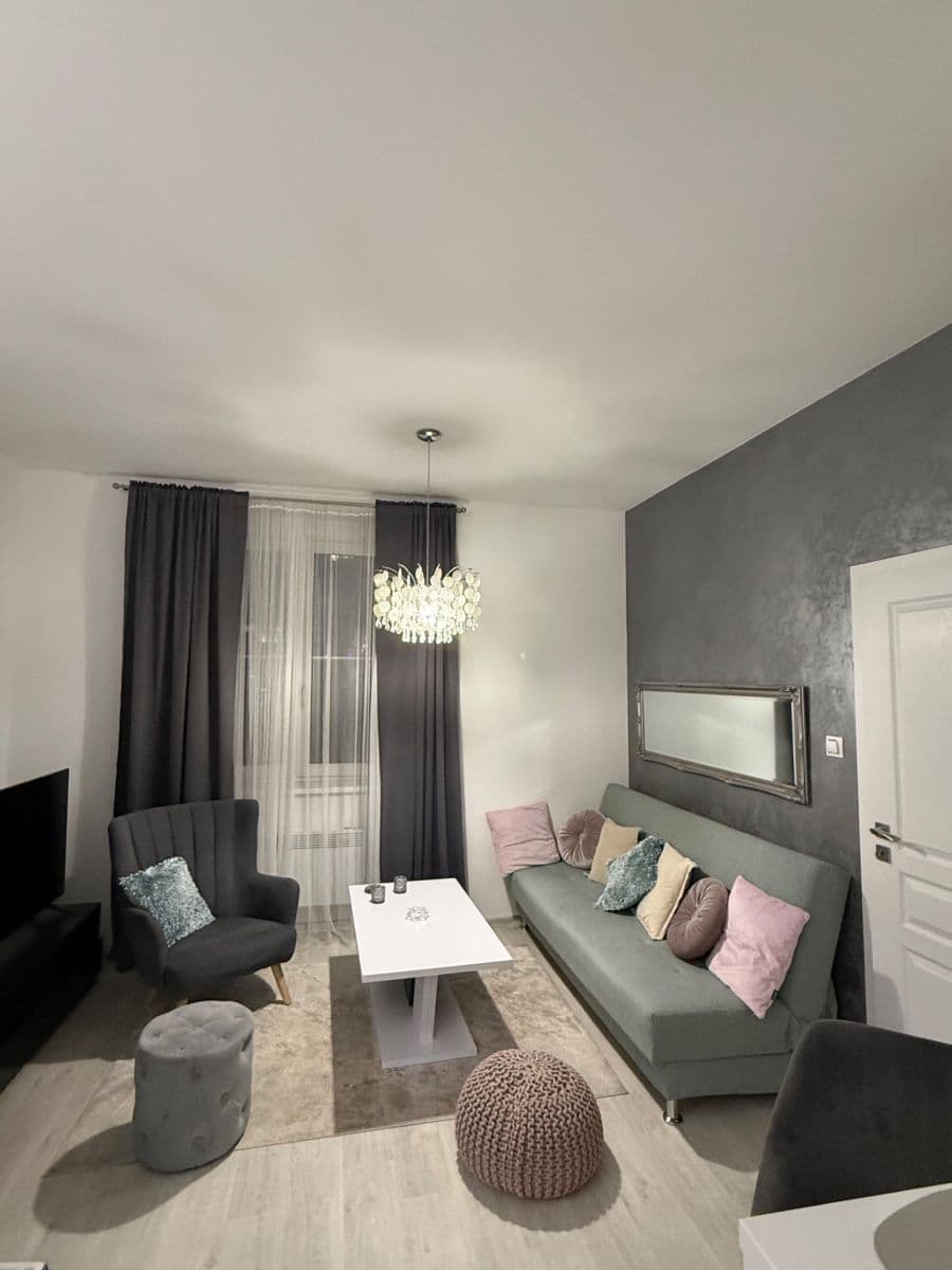 1 bedroom with open-plan kitchen flat to rent, 53 m², U Svobodárny, Prague, Prague 1 bedroom with open-plan kitchen flat to rent, 53 m², U Svobodárny, Prague, Prague