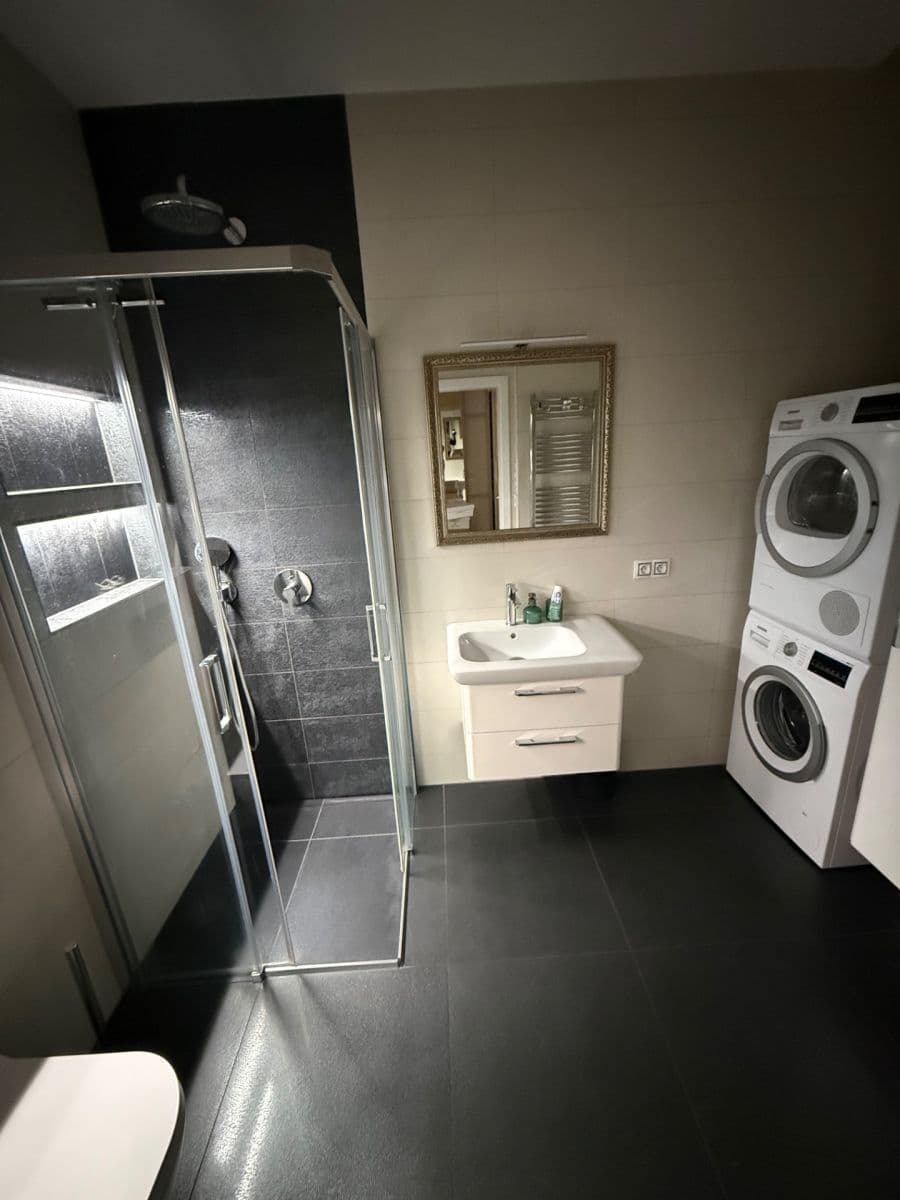 1 bedroom with open-plan kitchen flat to rent, 53 m², U Svobodárny, Prague, Prague 1 bedroom with open-plan kitchen flat to rent, 53 m², U Svobodárny, Prague, Prague