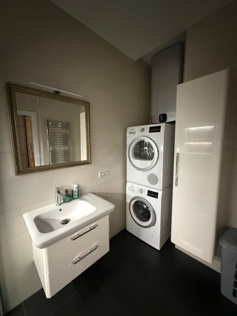 1 bedroom with open-plan kitchen flat to rent, 53 m², U Svobodárny, Prague, Prague 1 bedroom with open-plan kitchen flat to rent, 53 m², U Svobodárny, Prague, Prague