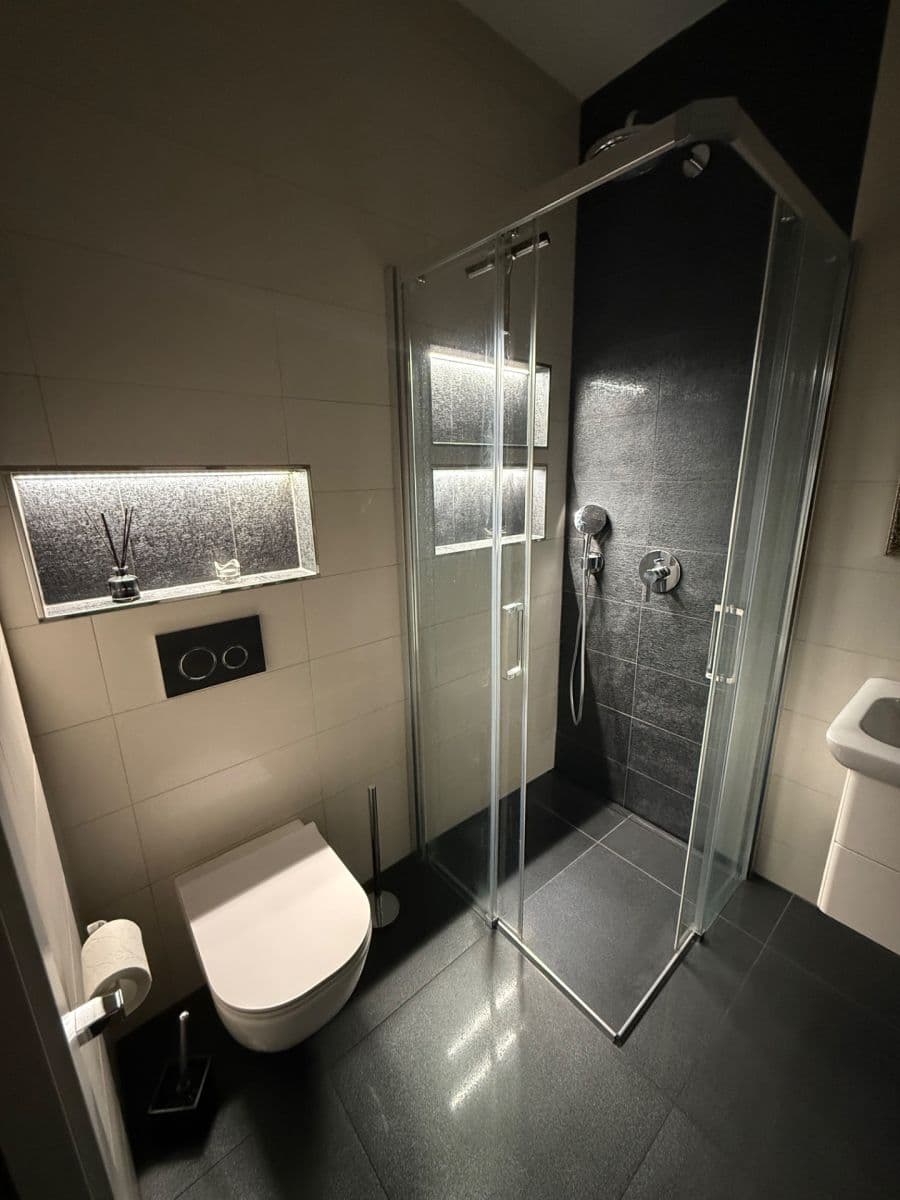 1 bedroom with open-plan kitchen flat to rent, 53 m², U Svobodárny, Prague, Prague 1 bedroom with open-plan kitchen flat to rent, 53 m², U Svobodárny, Prague, Prague